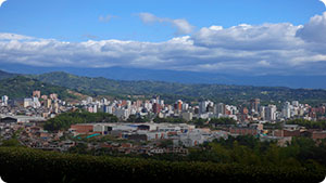 Pereira